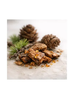 Larch