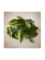 Lemon Leaf