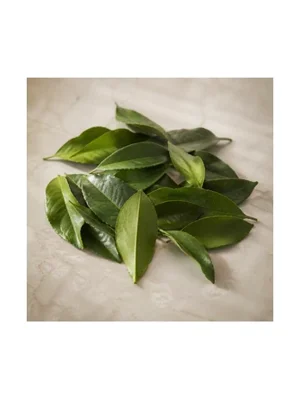 Lemon Leaf