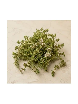 Lemon Thyme