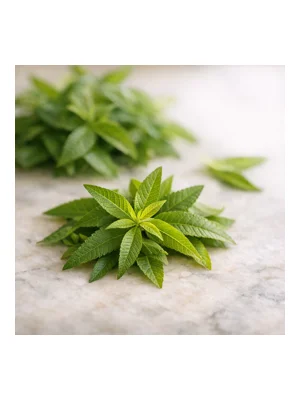 Lemon Verbena