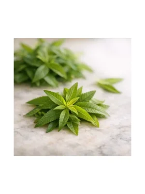 Lemon Verbena
