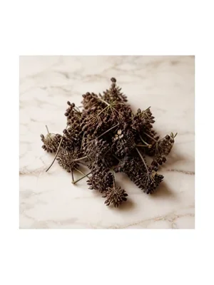 Licorice Flower
