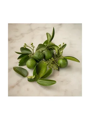 Limetta