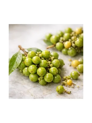 Litsea Cubeba