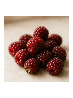 Loganberry