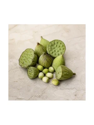 Lotus Seed