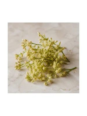 Lychee Blossom