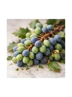 Mahonia