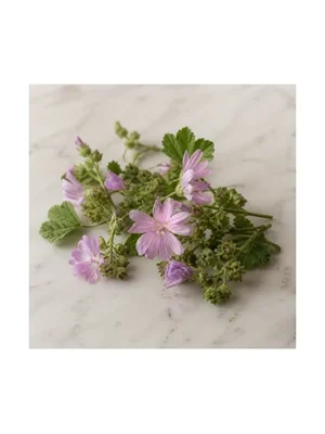 Mallow