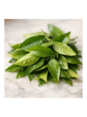 Mandarin Leaf