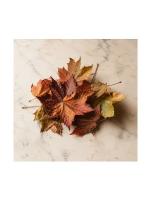 Maple Leaf