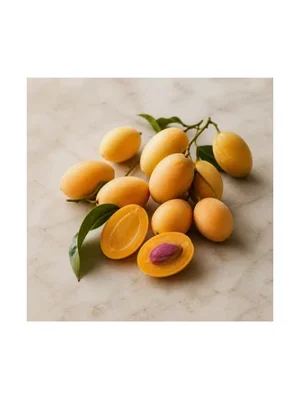 Marian Plum