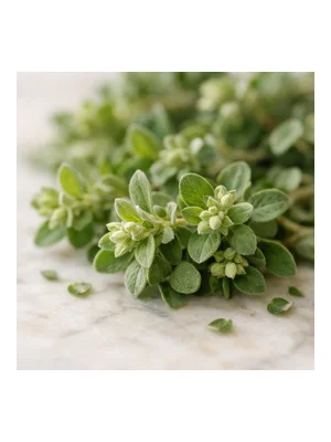 Marjoram