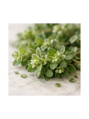 Marjoram