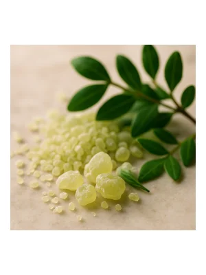 Mastic Or Lentisque
