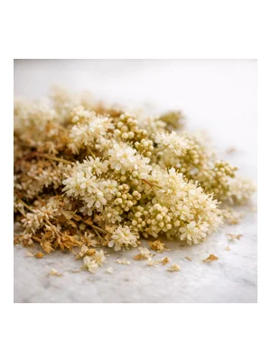 Meadowsweet