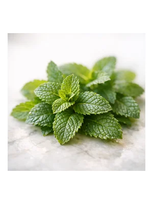 Mint