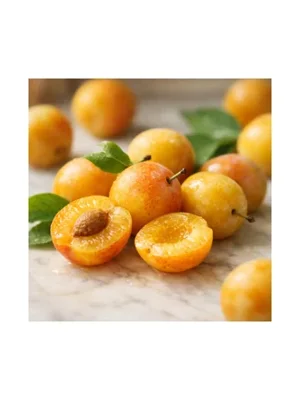 Mirabelle Plum