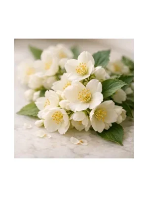 Mock Orange