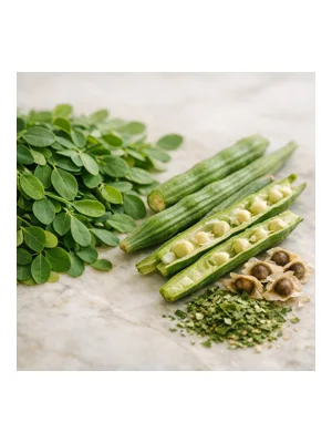 Moringa