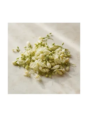 Moringa