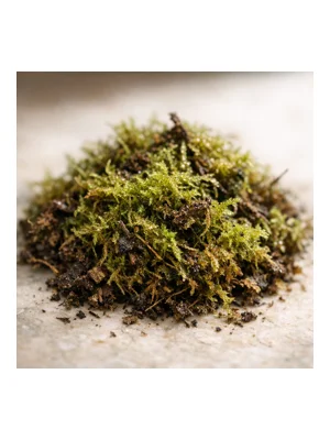 Moss
