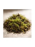 Moss