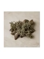 Moss