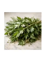 Mugwort