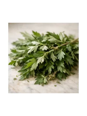 Mugwort