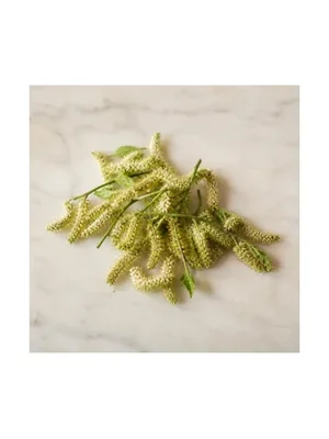 Mulberry Blossom