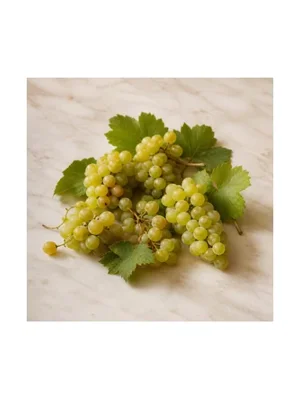 Muscat Grape