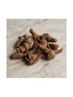 Muskroot