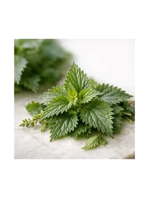 Nettle