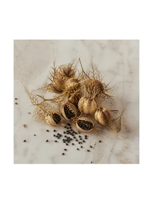 Nigella