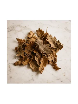 Oak Leaves