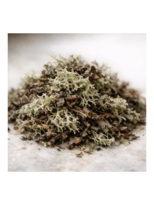 Oakmoss