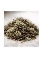 Oakmoss