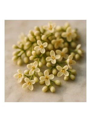 Olive Blossom