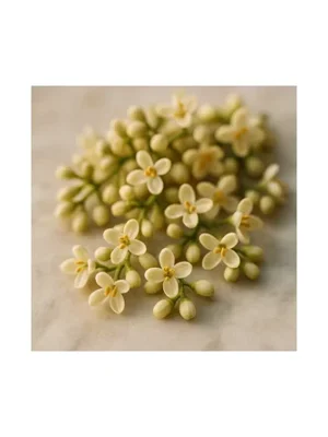 Olive Blossom