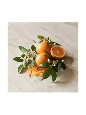 Orange Tree