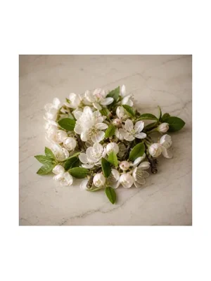 Orchard Blossom