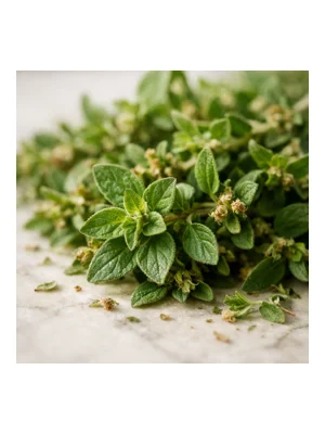 Oregano