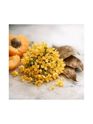 Osmanthus
