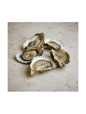 Oysters