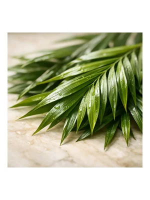Palm Leaf