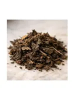 Patchouli