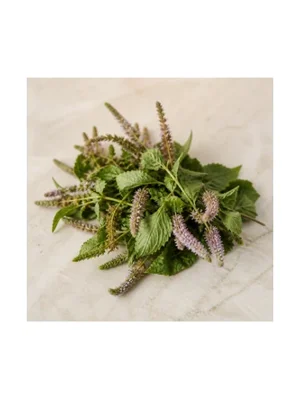 Patchouli Blossom