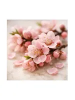 Peach Blossom